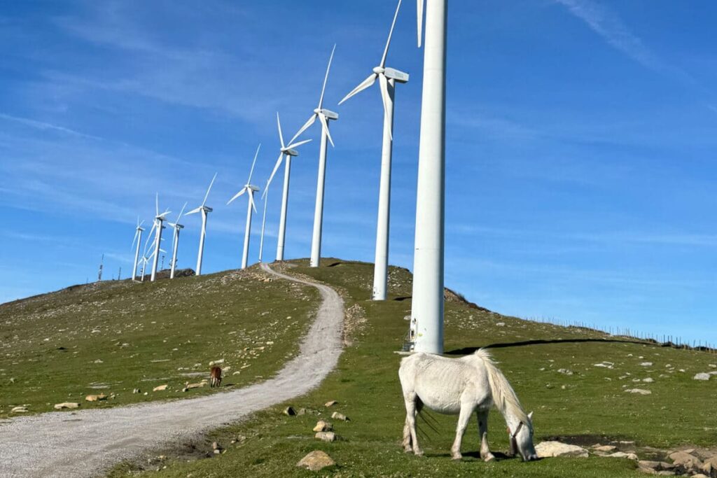 Parque eólico en Euskadi con un caballo blanco paciendo en primer plano. Junto a los aerogeneradores se aprecia un camino de grava en sentido ascendente.